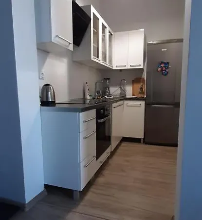 Nowoczesny Apartament 2-pok Z Balkonem 7 Min Od Centrum W Kamienicy *
